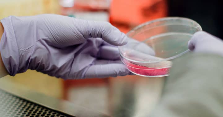 учени правят експерименти